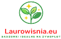 cropped-logo-new.png